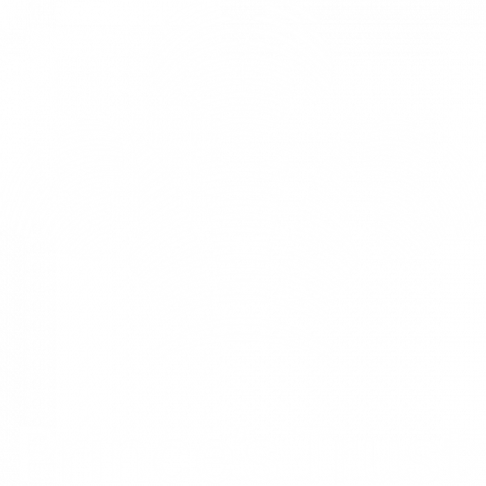 1200Px The Princes Trust Svg White