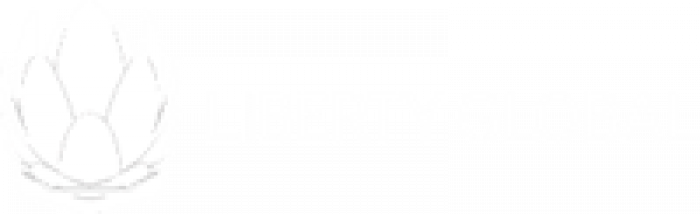 Liberty Global Logo White