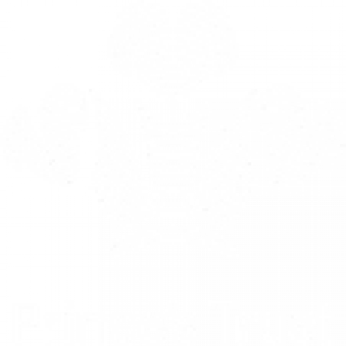 Princes Trust Logo White