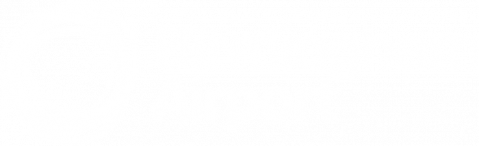 Birmingham Airport Logo White