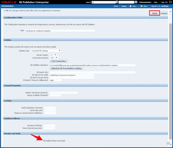 Fig 2 - The server configuration screen where you enable Monitoring and Auditing